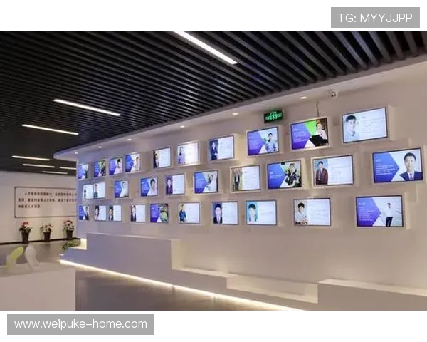 喜达娱乐：优质内容与创新服务实现用户满意度提升