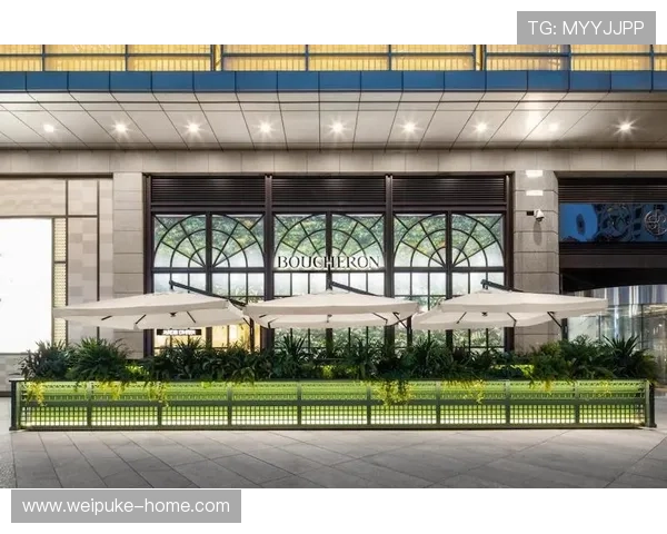 开云电脑版官网新品发布会，第一时间掌握最新奢侈品系列动态