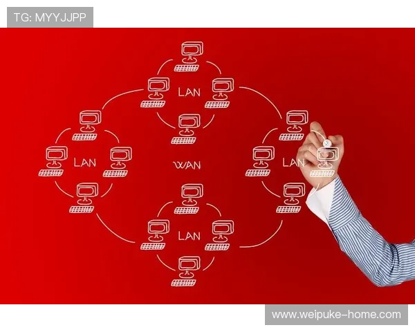 德晋娱乐的内容创新策略，满足多样化观众需求的关键所在